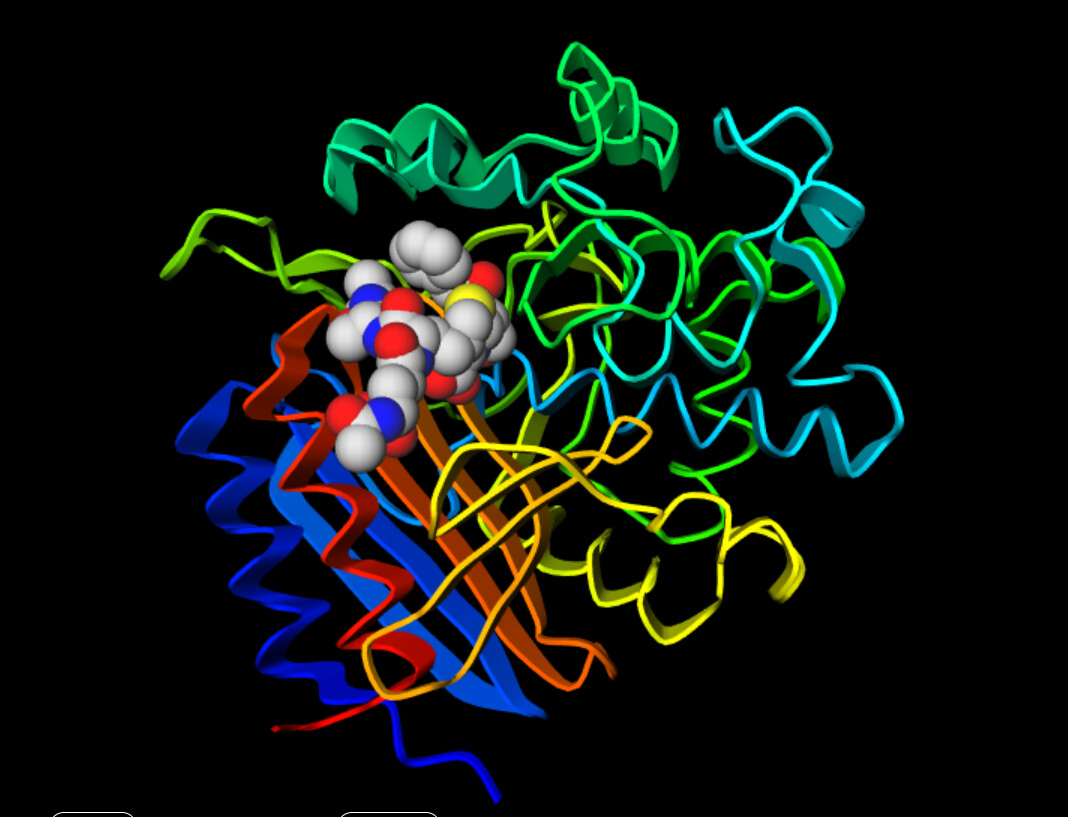 Protein Chatbot